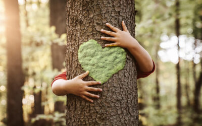 Child hugging tree with heart shape on it